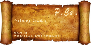 Pelvay Csaba névjegykártya